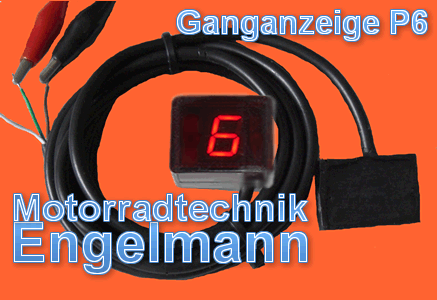 Ganganzeige mit Reedplatine