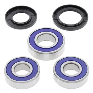 Radlager Satz hinten Suzuki DR 650 SE 1996 - 2020 650 ccm 25-1256